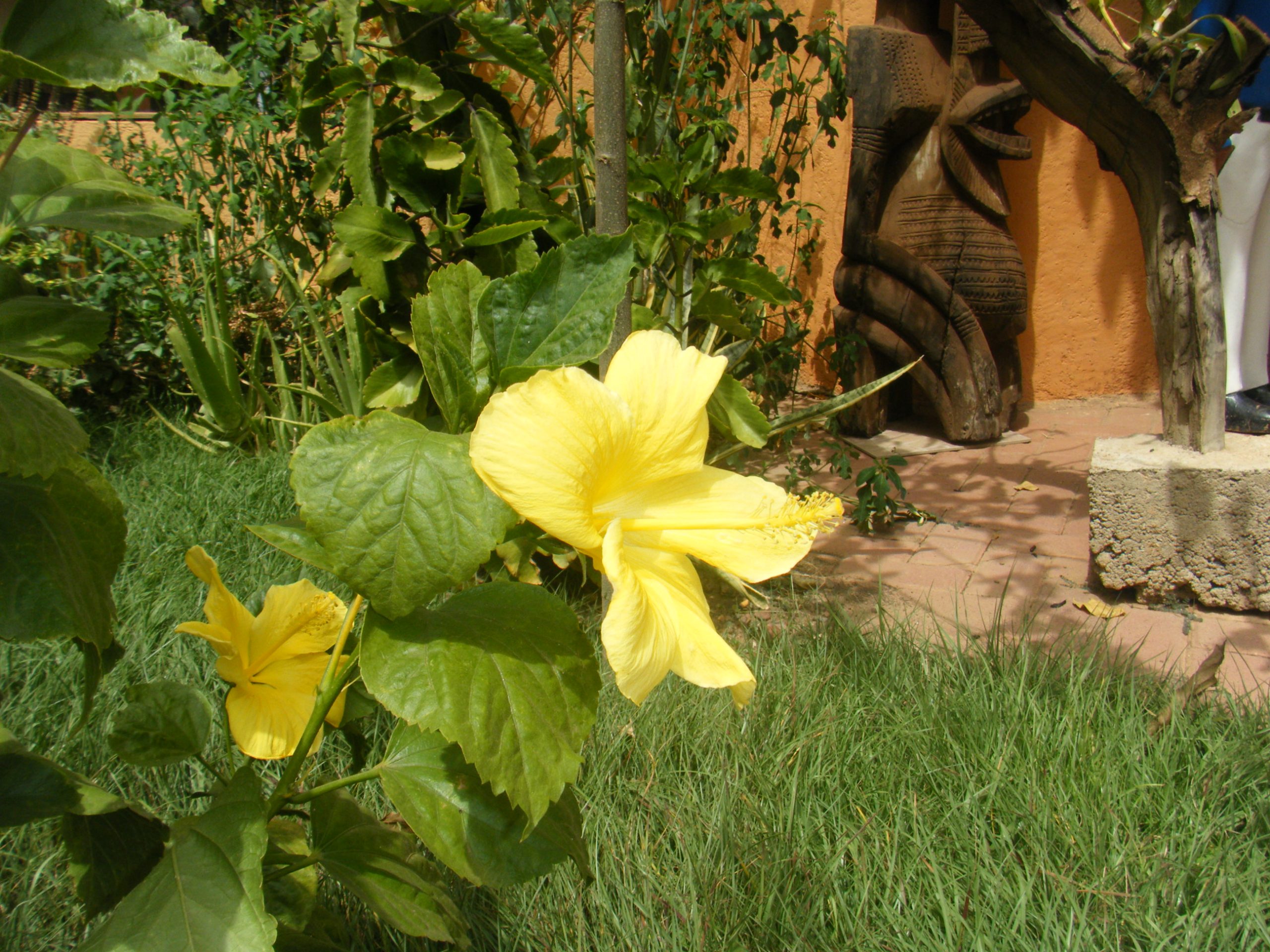 Lire la suite à propos de l’article nouvel essai pour un affichage de trois images à la suite d&rsquo;un article